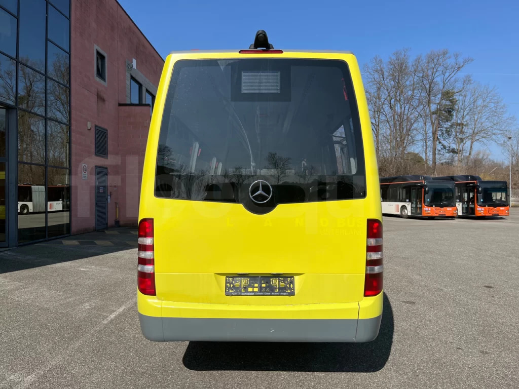 N.1 MERCEDES BENZ SPRINTER CITY 65 – Anno 2015 - النقل الحضري: صور 5 N.1 MERCEDES BENZ SPRINTER CITY 65 – Anno 2015 - النقل الحضري: صور 5