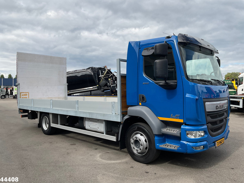 شاحنة نقل سيارات شاحنة DAF FA LF 250 Euro 6 Autotransporter met laadklep: صور 6