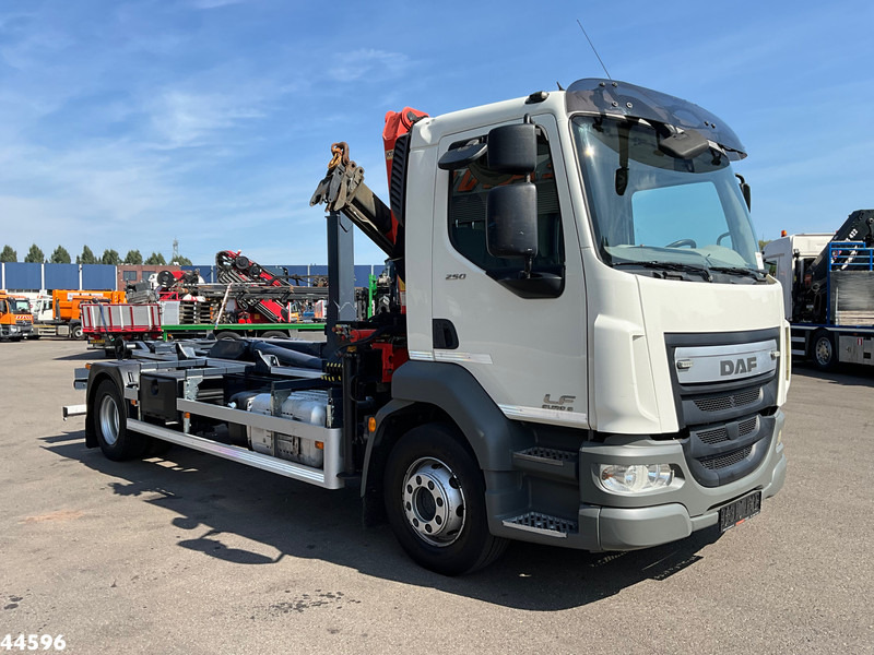 DAF FA LF 250 Euro 6 Palfinger 6,5 Tonmeter laadkraan - شاحنة ذات الخطاف, شاحنة كرين: صور 3 DAF FA LF 250 Euro 6 Palfinger 6,5 Tonmeter laadkraan - شاحنة ذات الخطاف, شاحنة كرين: صور 3