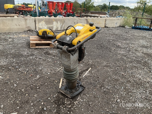 2021 Wacker Neuson BS60-2I Jumping Jack Tamper - ماكينات الدك: صور 2 2021 Wacker Neuson BS60-2I Jumping Jack Tamper - ماكينات الدك: صور 2