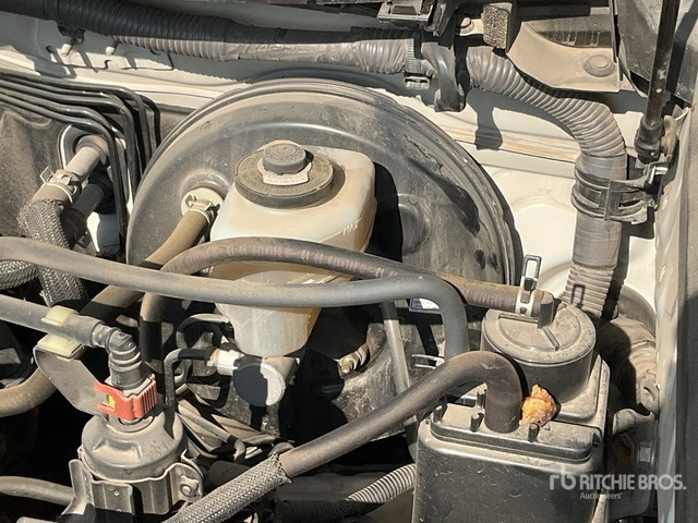 2018 Toyota Prado TX 150L 4x4 SUV - سيارة دفع رباعي: صور 4 2018 Toyota Prado TX 150L 4x4 SUV - سيارة دفع رباعي: صور 4