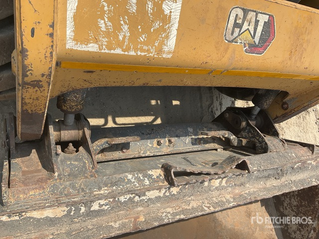 2020 Cat 216B3 - شيول صغير: صور 5 2020 Cat 216B3 - شيول صغير: صور 5