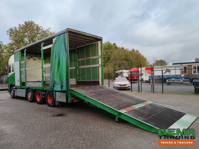 DAF FAK XF95.430 8x2 Super SuperSpaceCab Euro3 - CurtainSider 7.31m + Ramp 16T - MachineTransporter - 6 Persons (V558) - شاحنة نقل سيارات شاحنة: صور 2 DAF FAK XF95.430 8x2 Super SuperSpaceCab Euro3 - CurtainSider 7.31m + Ramp 16T - MachineTransporter - 6 Persons (V558) - شاحنة نقل سيارات شاحنة: صور 2