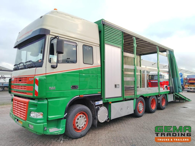 DAF FAK XF95.430 8x2 SuperSpaceCab Euro3 - CurtainSider 7.31m + Ramp 16T - MachineTransporter - 6 Persons (V558) - شاحنة نقل سيارات شاحنة: صور 1 DAF FAK XF95.430 8x2 SuperSpaceCab Euro3 - CurtainSider 7.31m + Ramp 16T - MachineTransporter - 6 Persons (V558) - شاحنة نقل سيارات شاحنة: صور 1