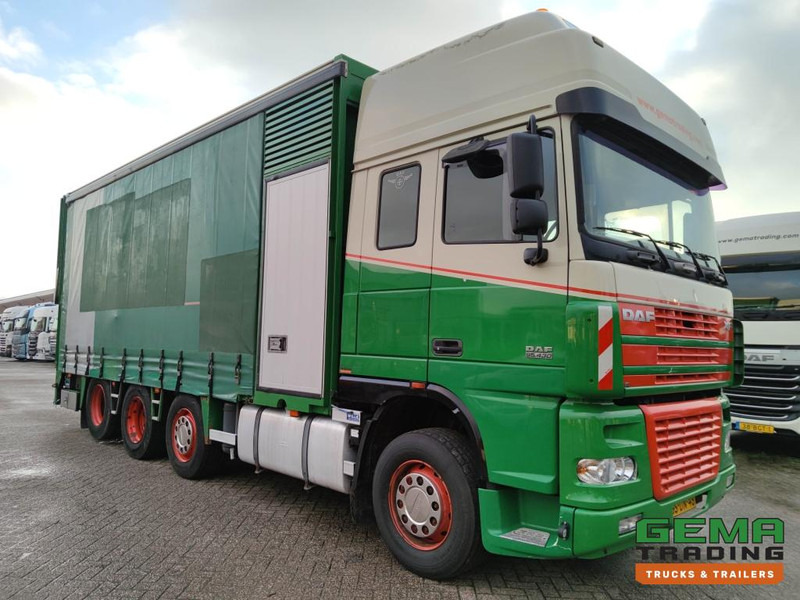 DAF FAK XF95.430 8x2 SuperSpaceCab Euro3 - CurtainSider 7.31m + Ramp 16T - MachineTransporter - 6 Persons (V558) - شاحنة نقل سيارات شاحنة: صور 3 DAF FAK XF95.430 8x2 SuperSpaceCab Euro3 - CurtainSider 7.31m + Ramp 16T - MachineTransporter - 6 Persons (V558) - شاحنة نقل سيارات شاحنة: صور 3