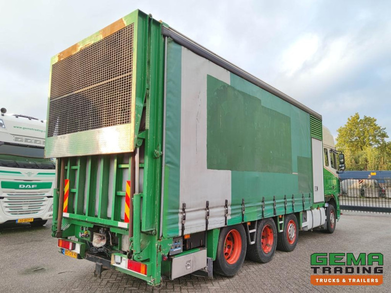 DAF FAK XF95.430 8x2 SuperSpaceCab Euro3 - CurtainSider 7.31m + Ramp 16T - MachineTransporter - 6 Persons (V558) - شاحنة نقل سيارات شاحنة: صور 4 DAF FAK XF95.430 8x2 SuperSpaceCab Euro3 - CurtainSider 7.31m + Ramp 16T - MachineTransporter - 6 Persons (V558) - شاحنة نقل سيارات شاحنة: صور 4