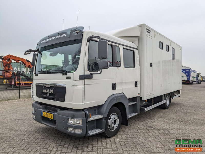 MAN TGL 12.180 4x2 DoKa 7 pers. Euro5 EEV - Paardenwagen 2-Paards - 147.000km! - MARGE - شاحنة نقل خيل: صور 3 MAN TGL 12.180 4x2 DoKa 7 pers. Euro5 EEV - Paardenwagen 2-Paards - 147.000km! - MARGE - شاحنة نقل خيل: صور 3