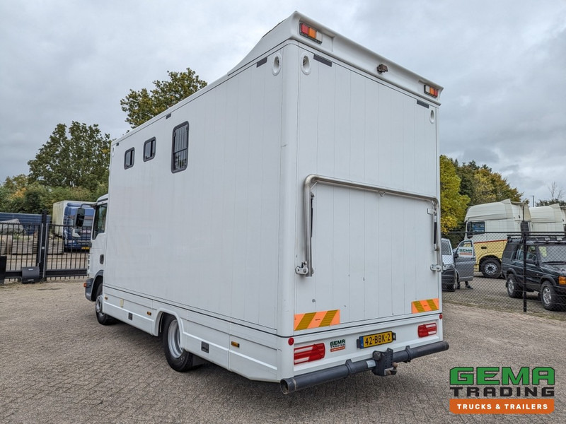 MAN TGL 12.250 4x2 Euro5 EEV RC HorseTruck - 2a3 Paards - 135.000km - MARGE (V821) - شاحنة نقل خيل: صور 4 MAN TGL 12.250 4x2 Euro5 EEV RC HorseTruck - 2a3 Paards - 135.000km - MARGE (V821) - شاحنة نقل خيل: صور 4
