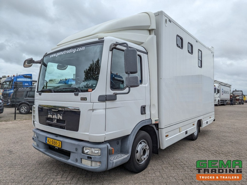 MAN TGL 12.250 4x2 Euro5 EEV RC HorseTruck - 2a3 Paards - 135.000km - MARGE (V821) - شاحنة نقل خيل: صور 2 MAN TGL 12.250 4x2 Euro5 EEV RC HorseTruck - 2a3 Paards - 135.000km - MARGE (V821) - شاحنة نقل خيل: صور 2