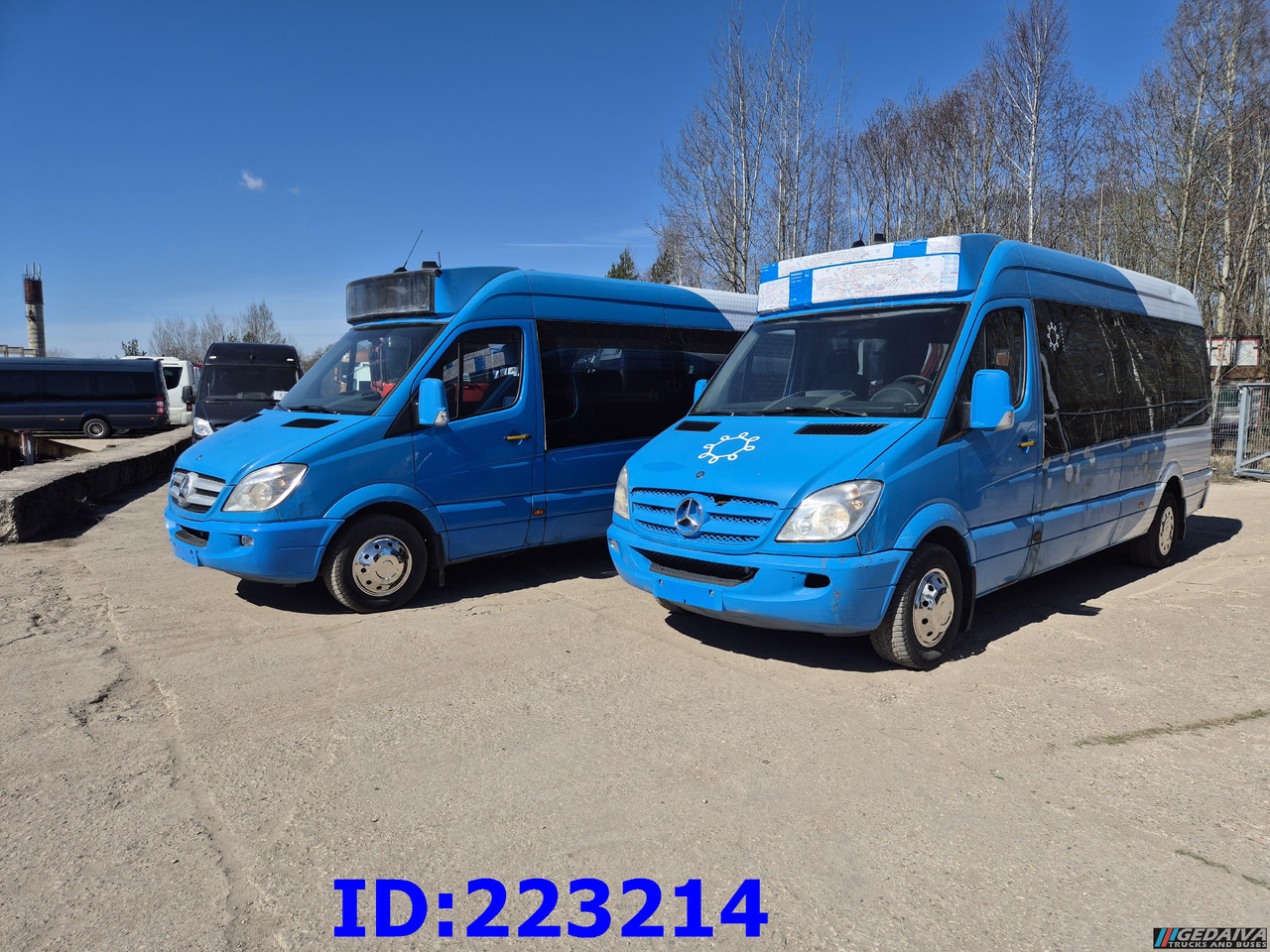 MERCEDES-BENZ Sprinter 316 VIP Euro5 (2pcs. available) - صغيرة, ميكروباص: صور 1 MERCEDES-BENZ Sprinter 316 VIP Euro5 (2pcs. available) - صغيرة, ميكروباص: صور 1