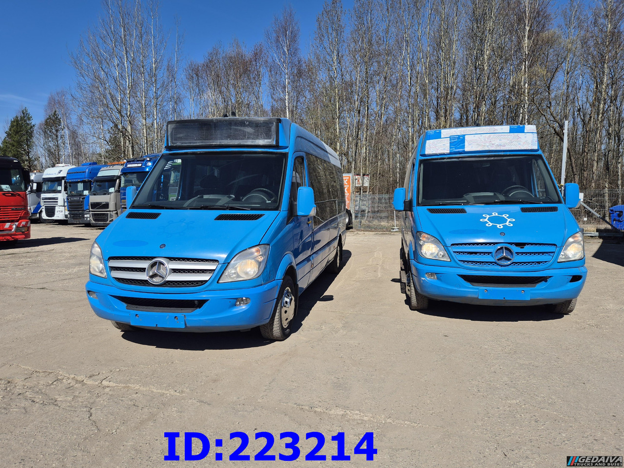 MERCEDES-BENZ Sprinter 316 VIP Euro5 (2pcs. available) - سياحية حافلة: صور 2 MERCEDES-BENZ Sprinter 316 VIP Euro5 (2pcs. available) - سياحية حافلة: صور 2