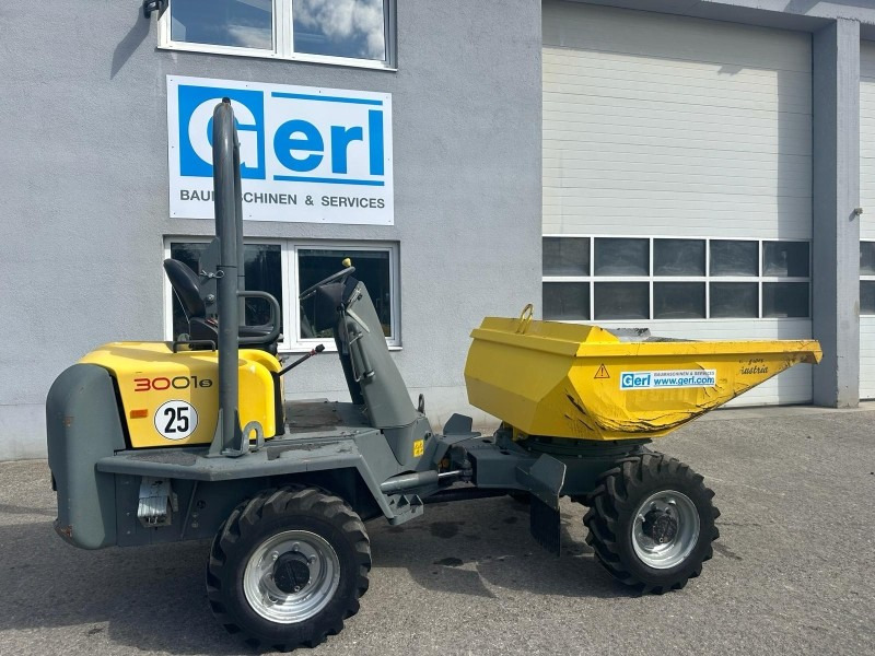 Neuson 3001 (3861) - شاحنة قلابة صغيرة: صور 2 Neuson 3001 (3861) - شاحنة قلابة صغيرة: صور 2