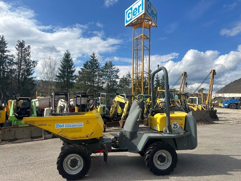 Neuson 3001 (3861) - شاحنة قلابة صغيرة: صور 1 Neuson 3001 (3861) - شاحنة قلابة صغيرة: صور 1