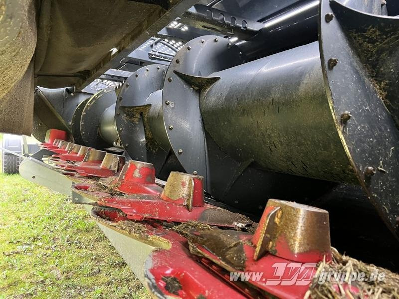 Capello Spartan 610 - جزازة: صور 3 Capello Spartan 610 - جزازة: صور 3