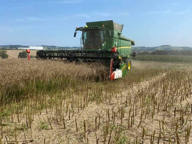 Cressoni CRX 6,6m Sojaflex - حصادة شاملة - الرأس: صور 3 Cressoni CRX 6,6m Sojaflex - حصادة شاملة - الرأس: صور 3