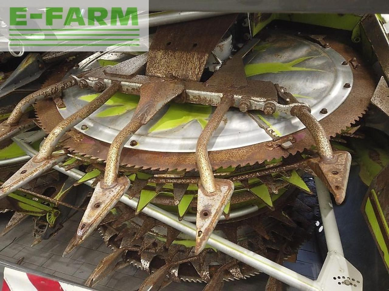 معدات حصادة الأعلاف CLAAS orbis 900: صور 11