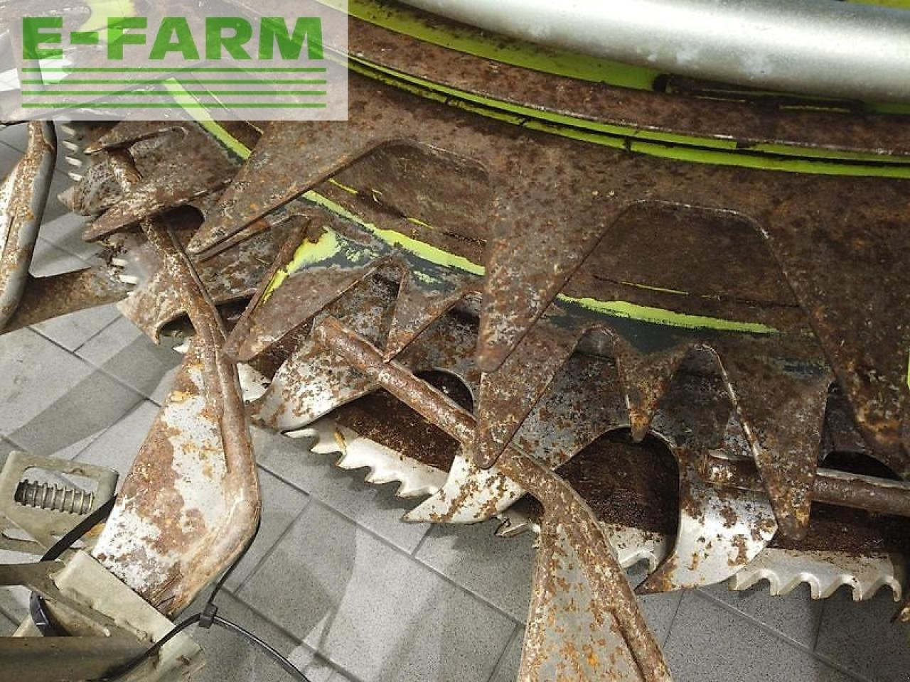 معدات حصادة الأعلاف CLAAS orbis 900: صور 13