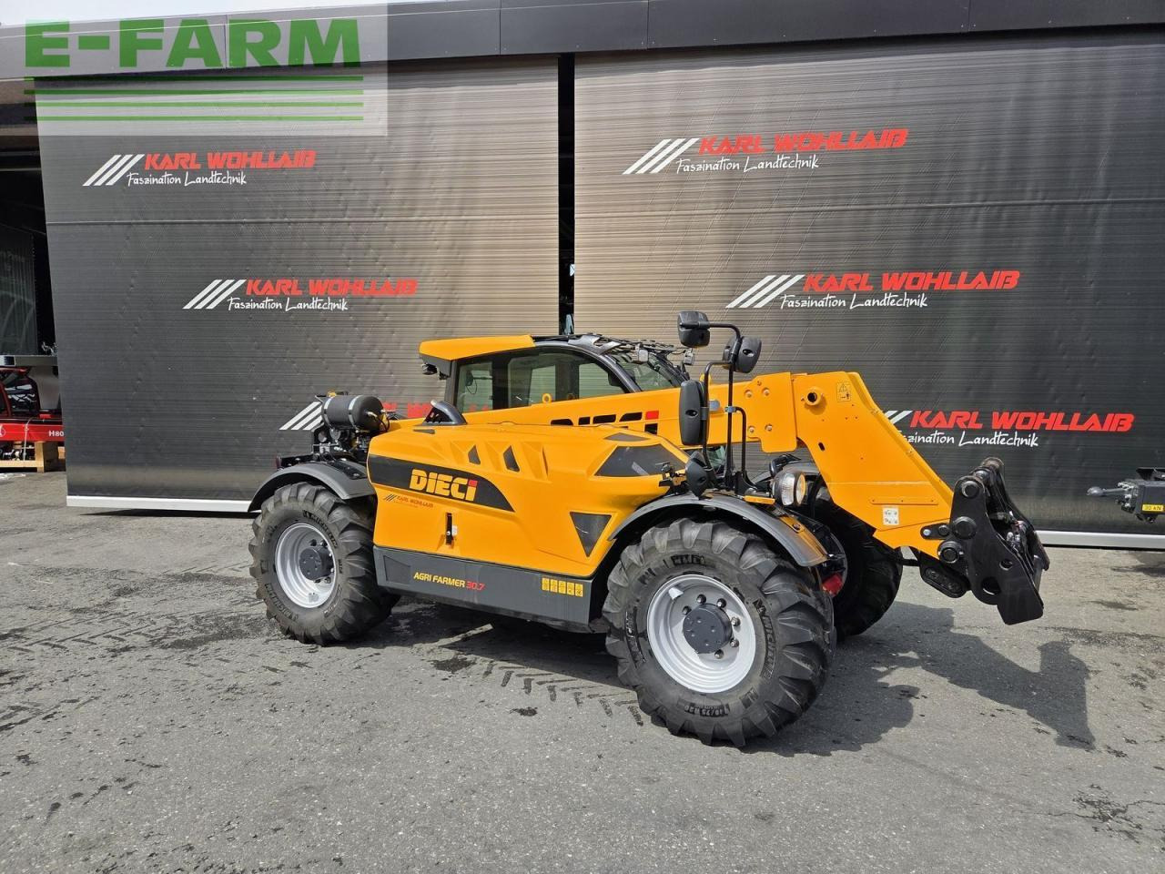 رافعة تلسكوبية Dieci agri farmer 30.7: صور 6