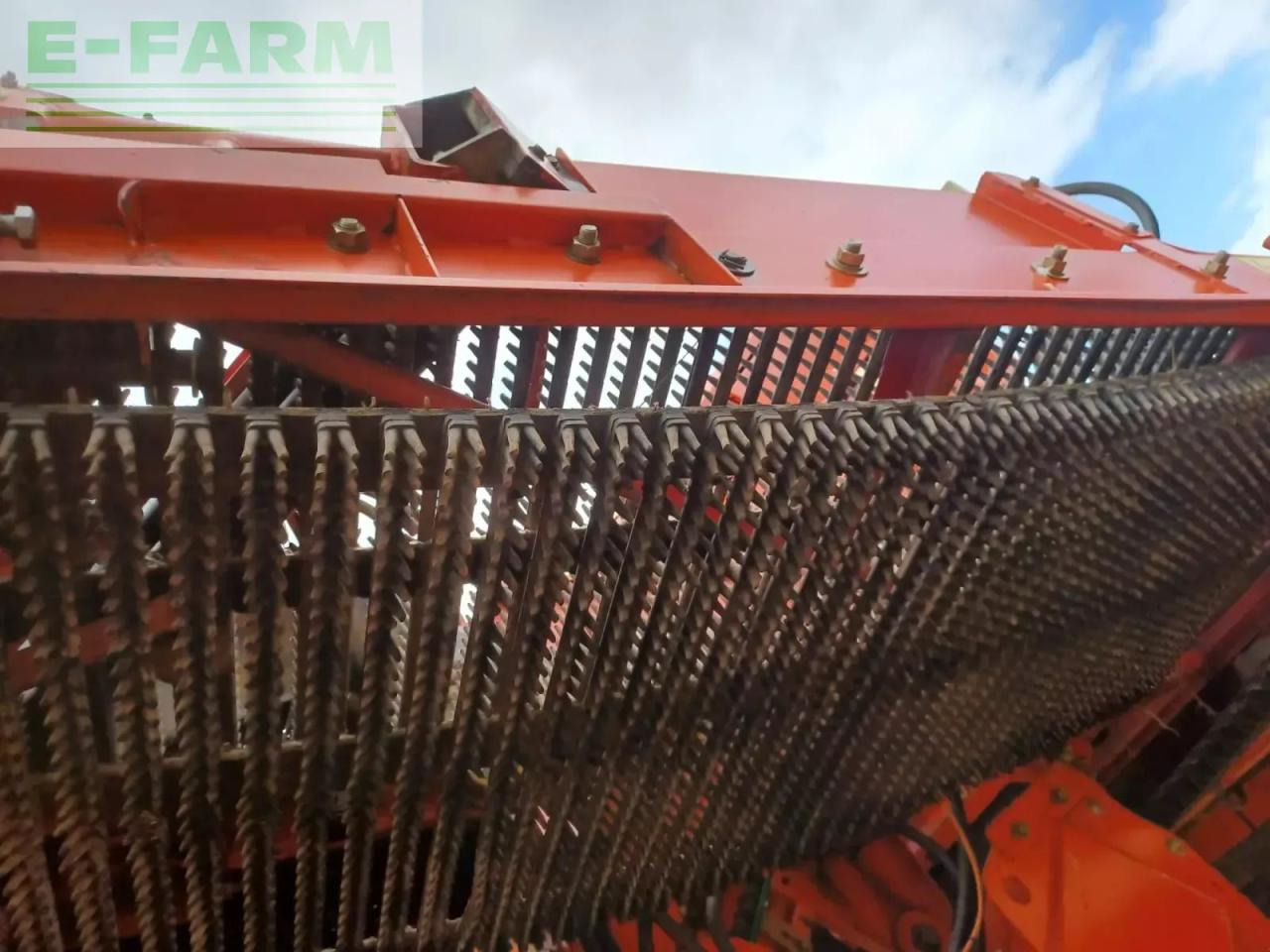 Grimme se 170-60 - حصادة البطاطس: صور 5 Grimme se 170-60 - حصادة البطاطس: صور 5