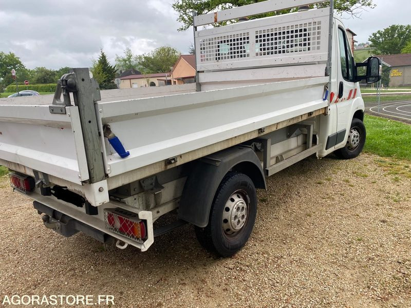 Camion benne Peugeot BOXER - 2014 - 70 000km - قلاب صغير: صور 2 Camion benne Peugeot BOXER - 2014 - 70 000km - قلاب صغير: صور 2