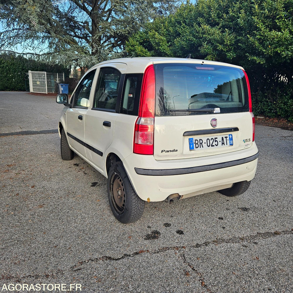 FIAT PANDA - سيارة: صور 3 FIAT PANDA - سيارة: صور 3