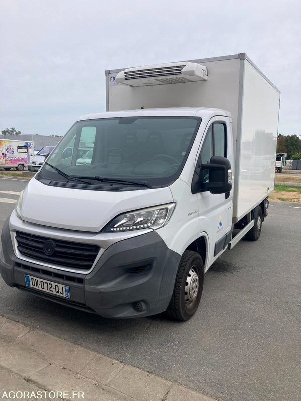 FRIGORIFIQUE FIAT DUCATO - الشاحنات الصغيرة المبردة: صور 1 FRIGORIFIQUE FIAT DUCATO - الشاحنات الصغيرة المبردة: صور 1