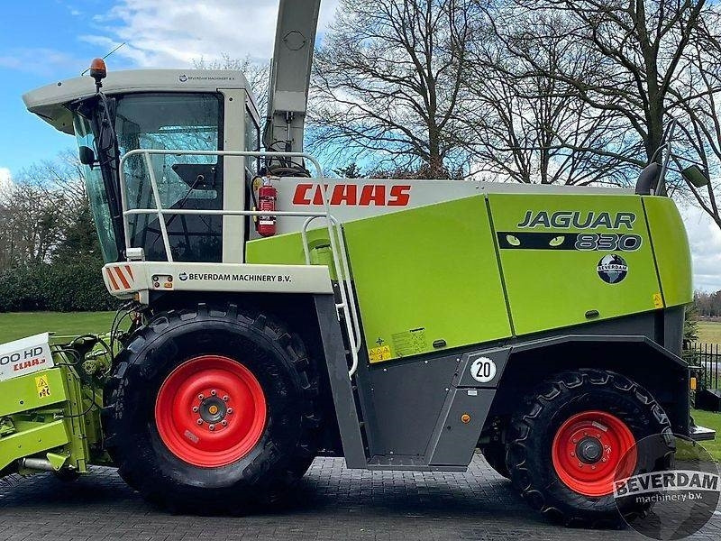 Claas Jaguar 830 492 - حصادة الأعلاف: صور 5 Claas Jaguar 830 492 - حصادة الأعلاف: صور 5