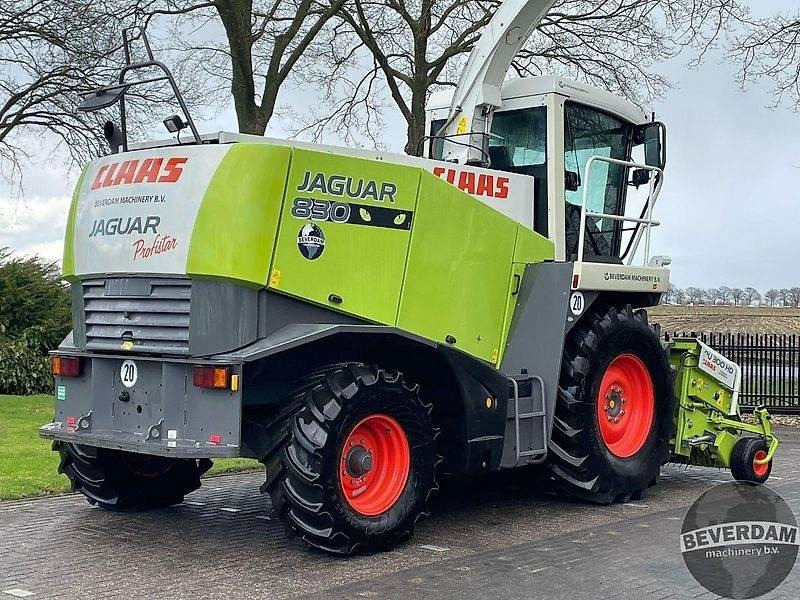 Claas Jaguar 830 492 - حصادة الأعلاف: صور 4 Claas Jaguar 830 492 - حصادة الأعلاف: صور 4