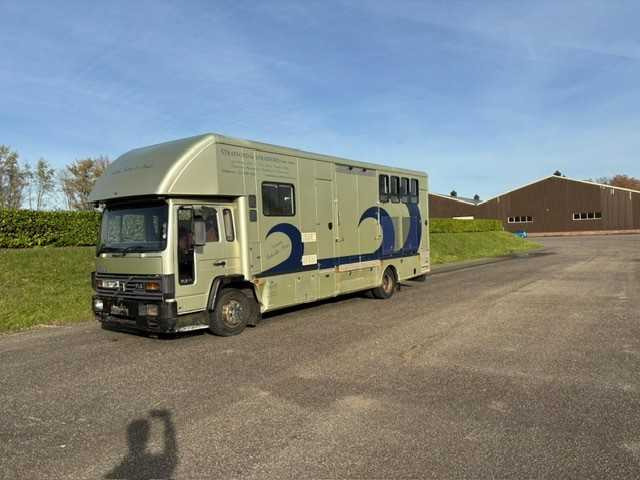 1993 VOLVO FL 612 TRUCK HORSE TRAILER - شاحنة: صور 5 1993 VOLVO FL 612 TRUCK HORSE TRAILER - شاحنة: صور 5