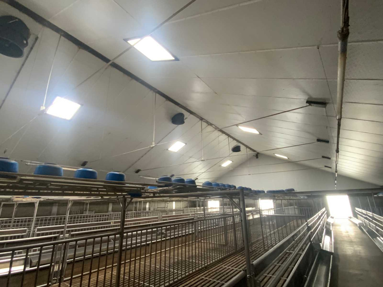 Complete prefab barn with solar panel installation - المعدات لتربية الماشية: صور 5 Complete prefab barn with solar panel installation - المعدات لتربية الماشية: صور 5