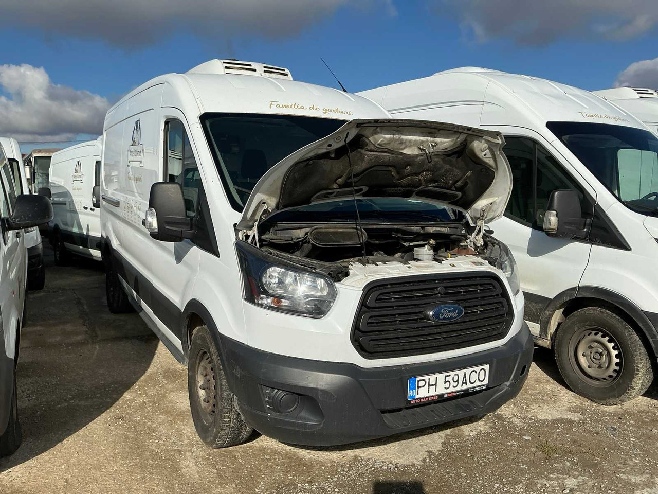 FORD TRANSIT VAN - الشاحنات الصغيرة: صور 3 FORD TRANSIT VAN - الشاحنات الصغيرة: صور 3