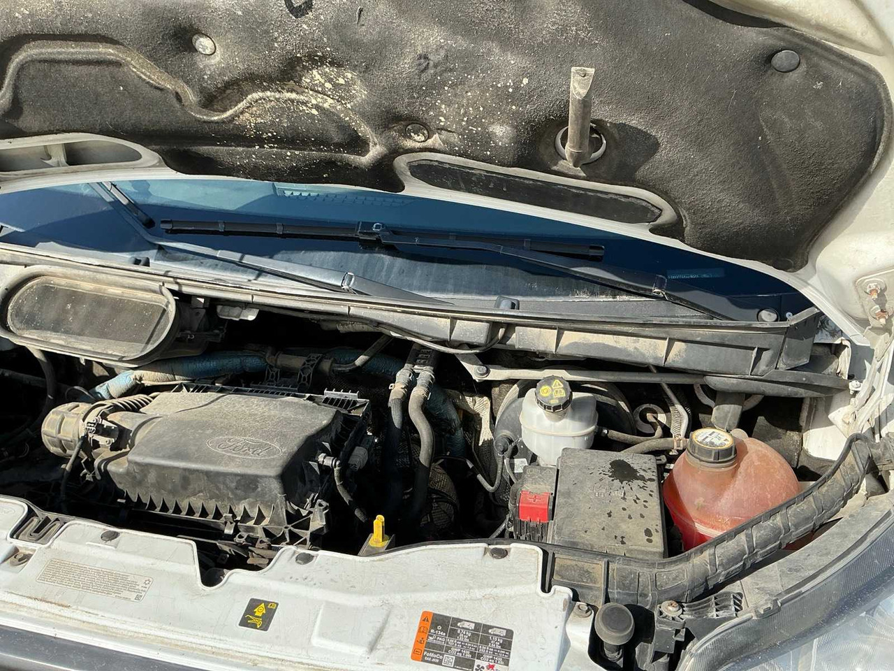 FORD TRANSIT VAN - الشاحنات الصغيرة: صور 4 FORD TRANSIT VAN - الشاحنات الصغيرة: صور 4