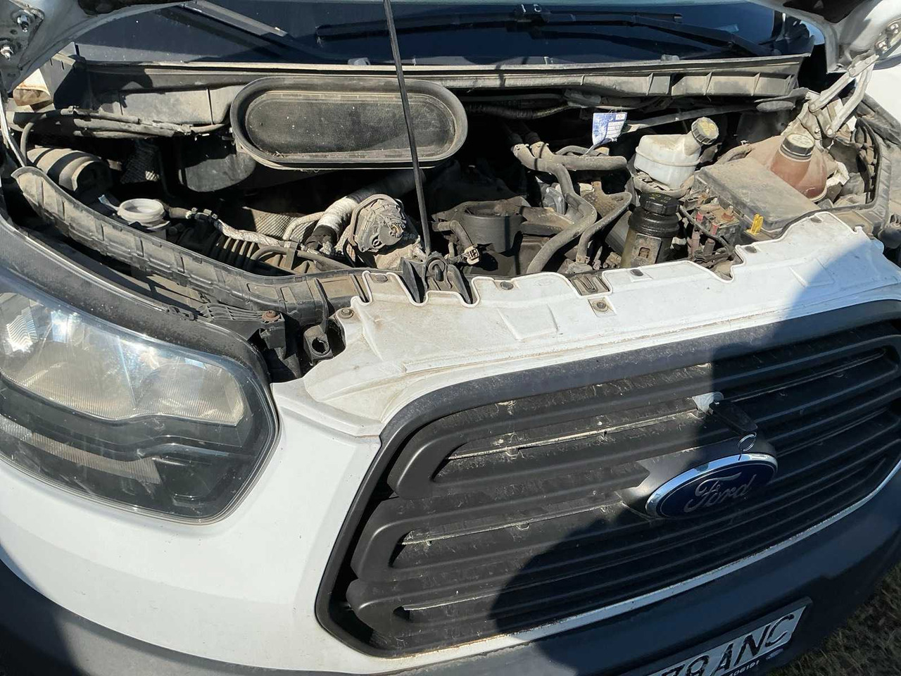 FORD TRANSIT VAN - الشاحنات الصغيرة: صور 5 FORD TRANSIT VAN - الشاحنات الصغيرة: صور 5