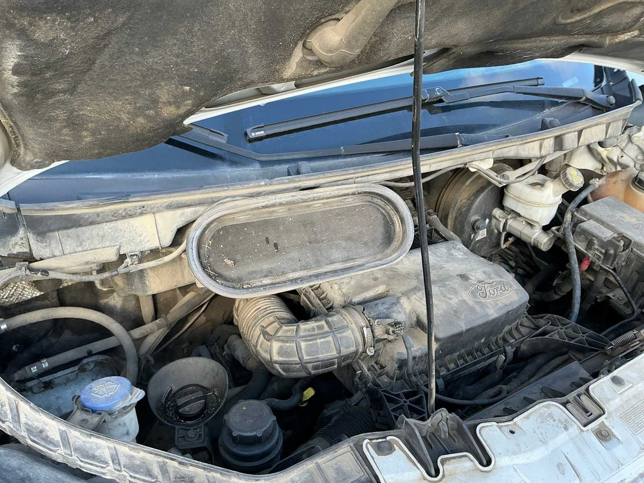 FORD TRANSIT VAN - الشاحنات الصغيرة: صور 5 FORD TRANSIT VAN - الشاحنات الصغيرة: صور 5