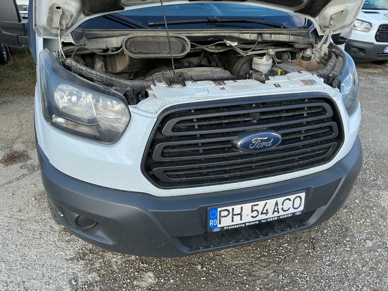 FORD TRANSIT VAN - الشاحنات الصغيرة: صور 3 FORD TRANSIT VAN - الشاحنات الصغيرة: صور 3