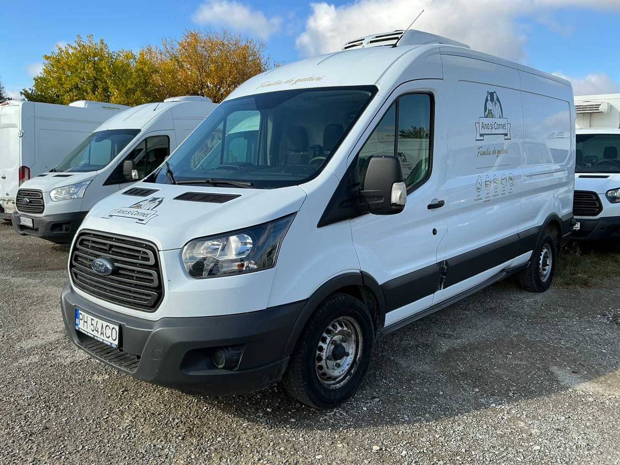 FORD TRANSIT VAN - الشاحنات الصغيرة: صور 2 FORD TRANSIT VAN - الشاحنات الصغيرة: صور 2