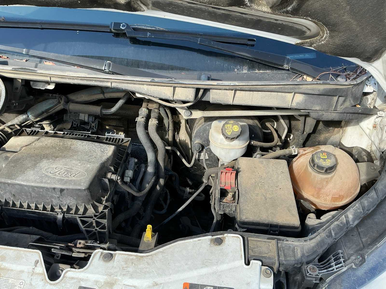 FORD TRANSIT VAN - الشاحنات الصغيرة: صور 4 FORD TRANSIT VAN - الشاحنات الصغيرة: صور 4