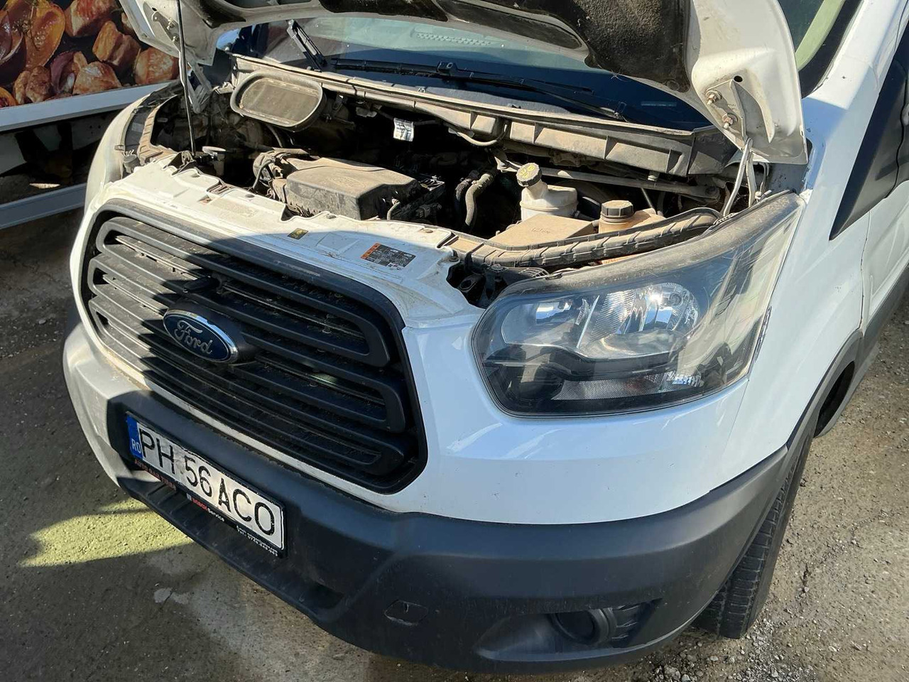 FORD TRANSIT VAN - الشاحنات الصغيرة: صور 3 FORD TRANSIT VAN - الشاحنات الصغيرة: صور 3