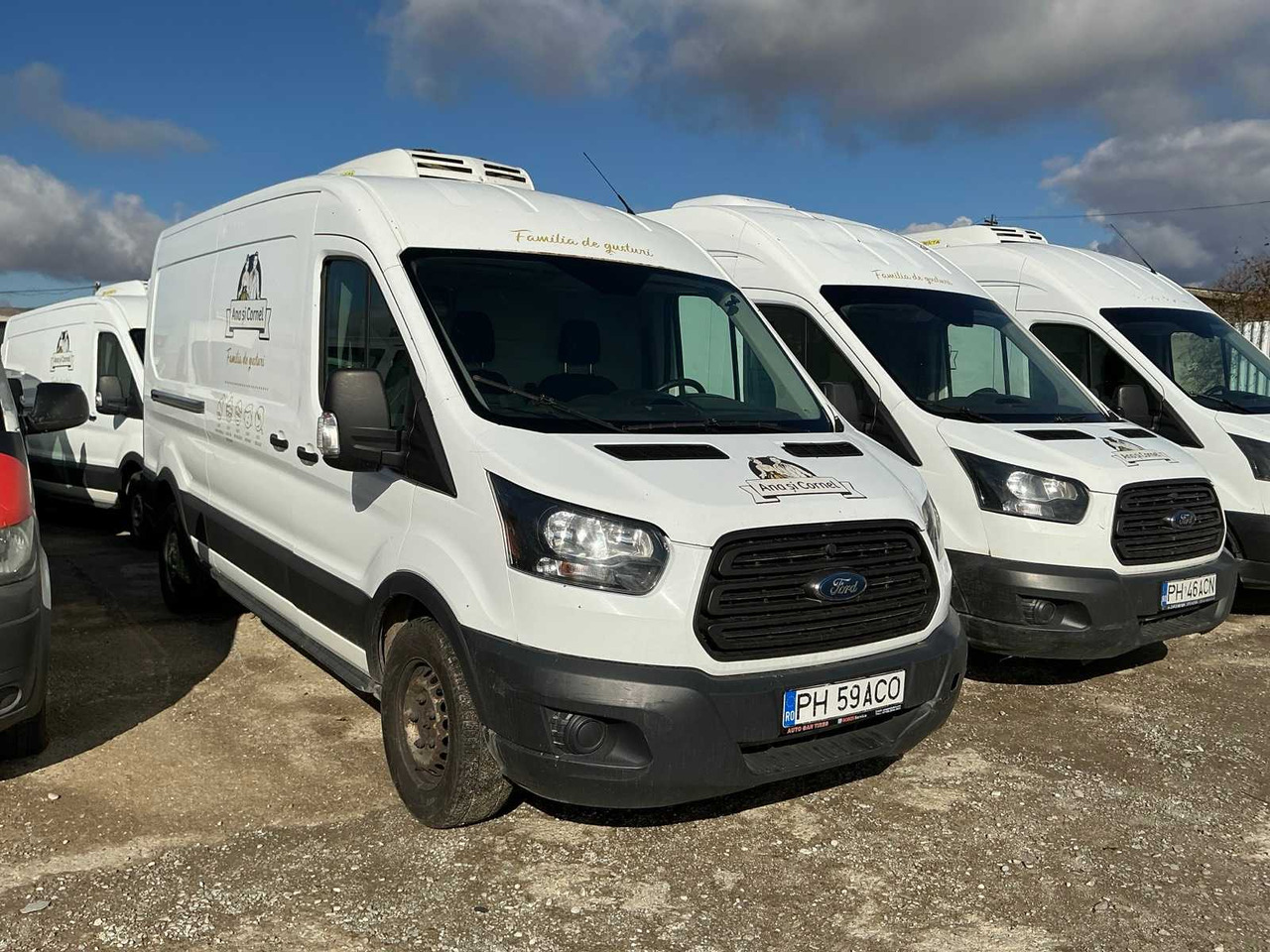 FORD TRANSIT VAN - الشاحنات الصغيرة: صور 1 FORD TRANSIT VAN - الشاحنات الصغيرة: صور 1