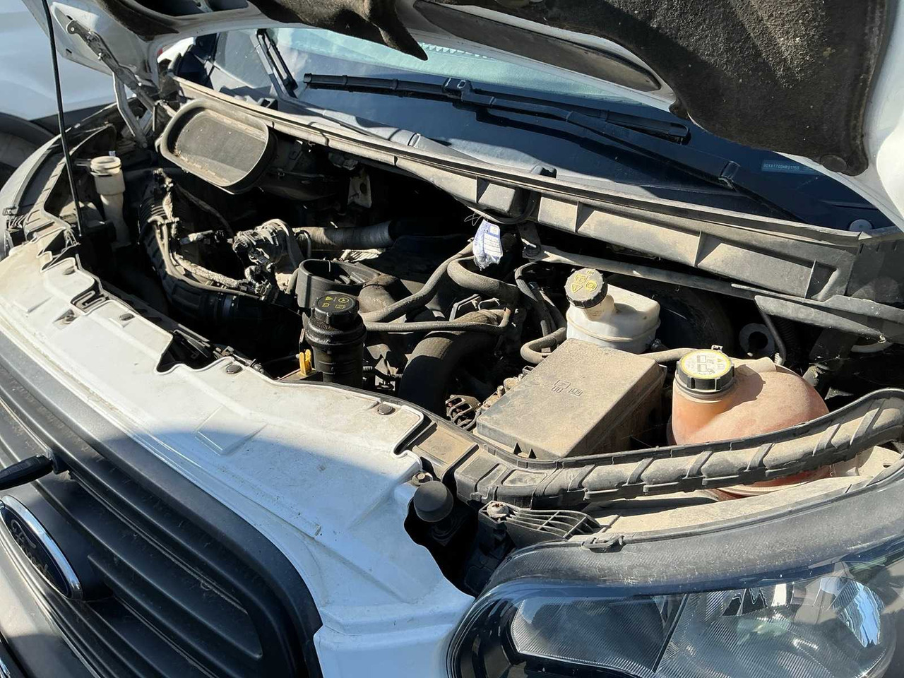 FORD TRANSIT VAN - الشاحنات الصغيرة: صور 4 FORD TRANSIT VAN - الشاحنات الصغيرة: صور 4