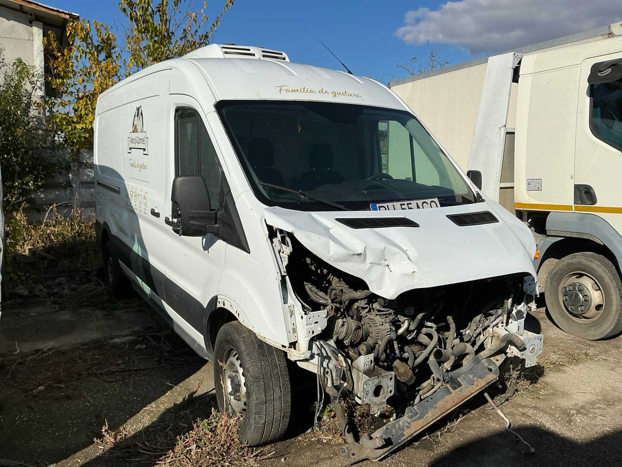 FORD VAN - الشاحنات الصغيرة: صور 2 FORD VAN - الشاحنات الصغيرة: صور 2