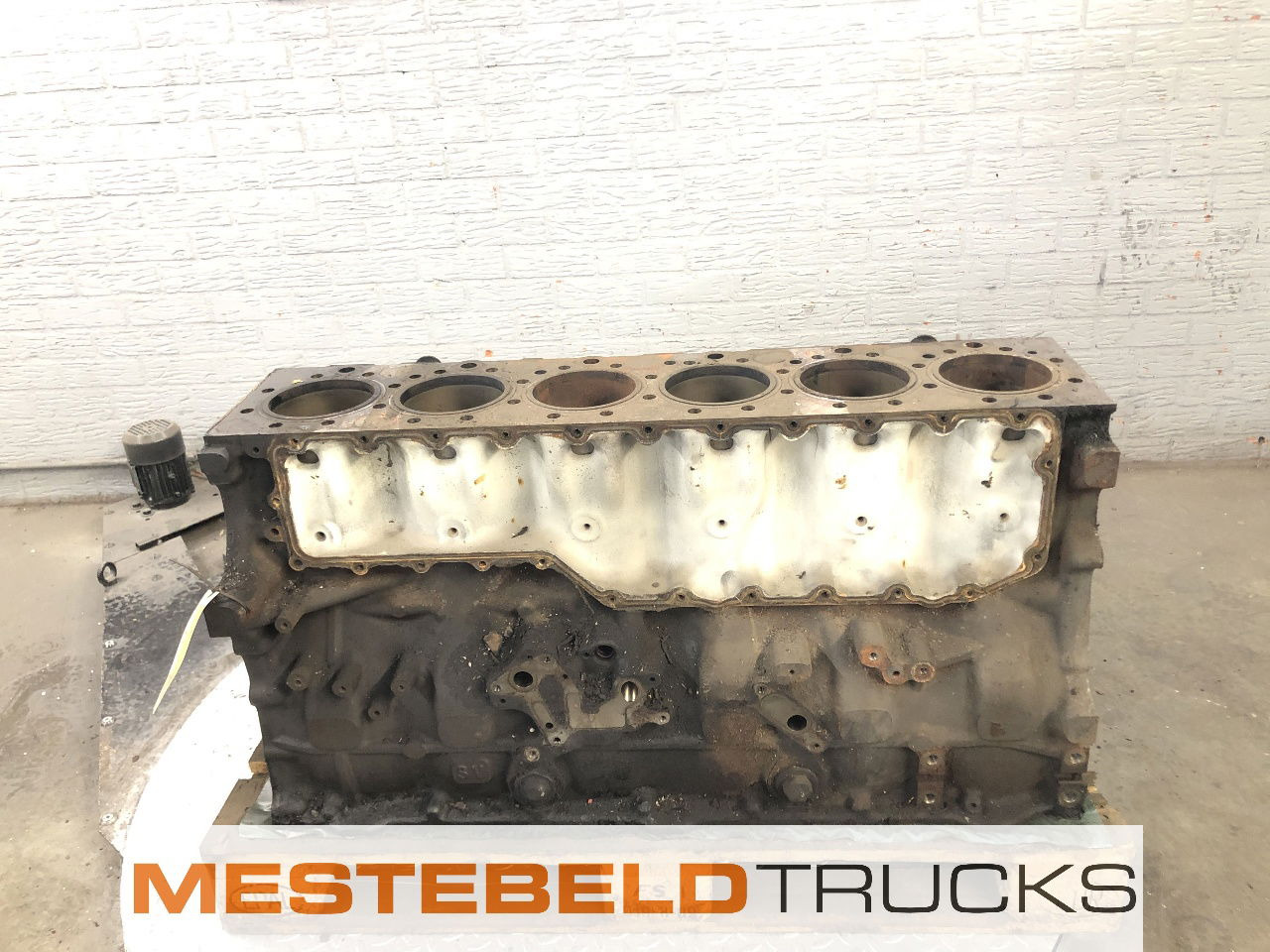 Renault Motorblok DXI 13 Magnum - المحرك - شاحنة: صور 3 Renault Motorblok DXI 13 Magnum - المحرك - شاحنة: صور 3