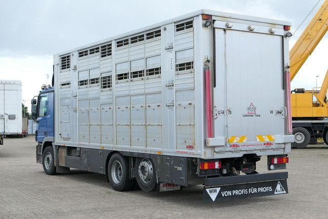 Mercedes-Benz 2541 L Actros 6x2, Finkl, 3 Stock,Kombi Liner XL - شاحنة نقل خيل: صور 3 Mercedes-Benz 2541 L Actros 6x2, Finkl, 3 Stock,Kombi Liner XL - شاحنة نقل خيل: صور 3