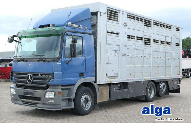 Mercedes-Benz 2541 L Actros 6x2, Finkl, 3 Stock,Kombi Liner XL - شاحنة نقل خيل: صور 1 Mercedes-Benz 2541 L Actros 6x2, Finkl, 3 Stock,Kombi Liner XL - شاحنة نقل خيل: صور 1