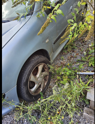 Peugeot 206 hdi - سيارة: صور 4 Peugeot 206 hdi - سيارة: صور 4