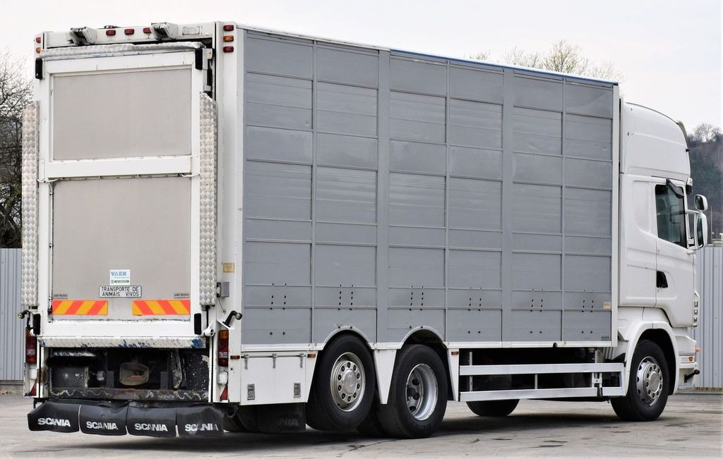 Scania R 500 TIERTRANSPORTWAGEN 7,10m / 4STOCK Scania R 500 TIERTRANSPORTWAGEN 7,10m / 4STOCK - شاحنة نقل المواشي شاحنة: صور 5 Scania R 500 TIERTRANSPORTWAGEN 7,10m / 4STOCK Scania R 500 TIERTRANSPORTWAGEN 7,10m / 4STOCK - شاحنة نقل المواشي شاحنة: صور 5