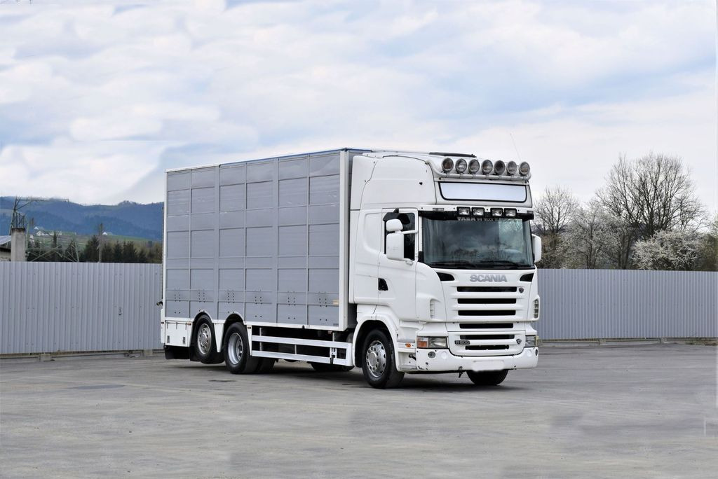 Scania R 500 TIERTRANSPORTWAGEN 7,10m / 4STOCK Scania R 500 TIERTRANSPORTWAGEN 7,10m / 4STOCK - شاحنة نقل المواشي شاحنة: صور 2 Scania R 500 TIERTRANSPORTWAGEN 7,10m / 4STOCK Scania R 500 TIERTRANSPORTWAGEN 7,10m / 4STOCK - شاحنة نقل المواشي شاحنة: صور 2