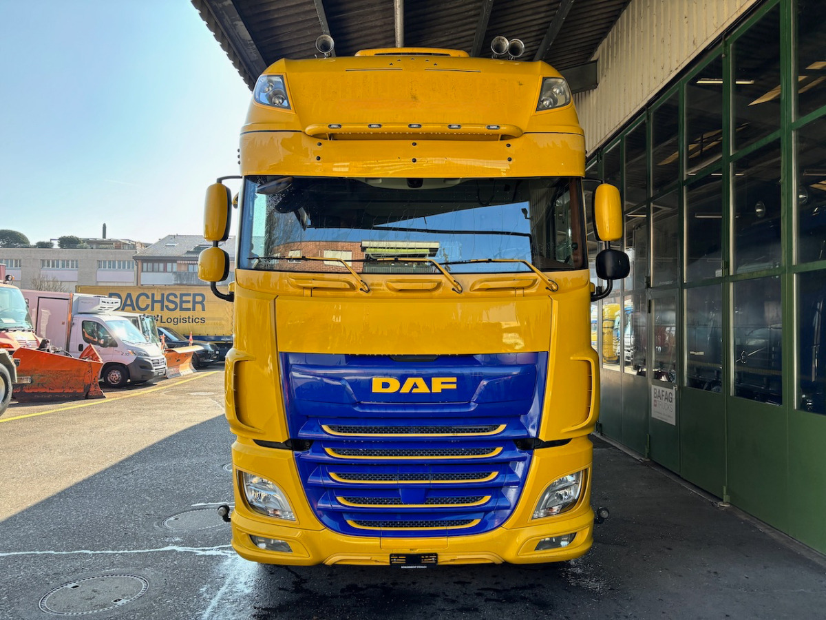 DAF FAN XF 530 LD Jumbo - شاحنة ستارة: صور 3 DAF FAN XF 530 LD Jumbo - شاحنة ستارة: صور 3