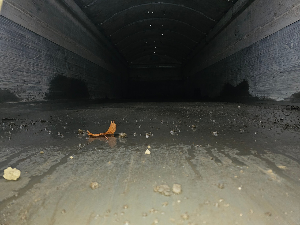 قلابة نصف مقطورة Schmitz SGF*S3 Steel / Alu: صور 12