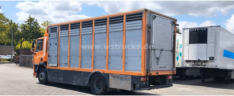 DAF CF 400 - Animal transporter - شاحنة نقل المواشي شاحنة: صور 5 DAF CF 400 - Animal transporter - شاحنة نقل المواشي شاحنة: صور 5
